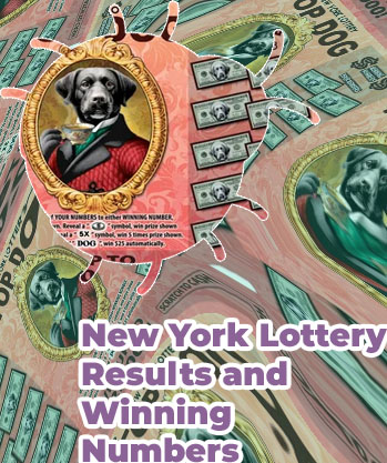 Ny lottery winning numbers